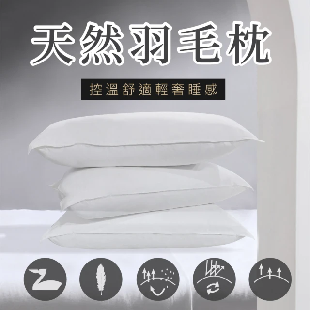 Hilton 希爾頓 白鵝羽毛輕柔立體羽絨枕/藍色(枕頭/羽