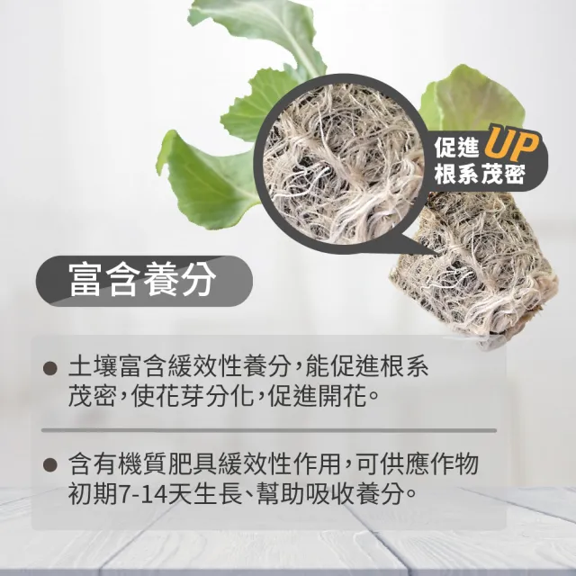 【花公主】新好根寶特級泥炭土6L