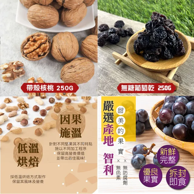 【甜園】年節禮盒 A款x1盒 無糖葡萄乾250g+帶殼核桃250g 台中十大伴手禮(綜合禮盒、禮盒訂購)