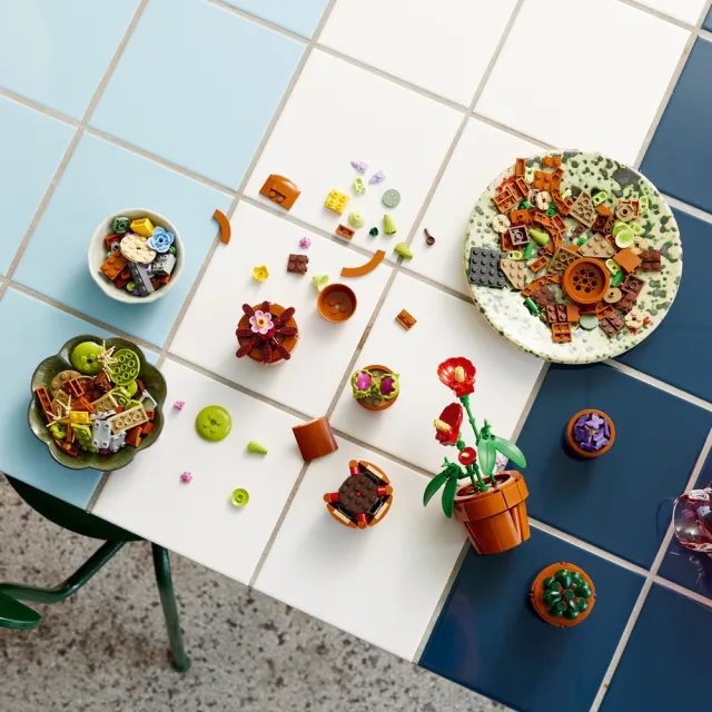 【LEGO 樂高】Botanicals 10329 迷你盆栽(居家擺飾 禮物 DIY 玩具 積木 送禮推薦)