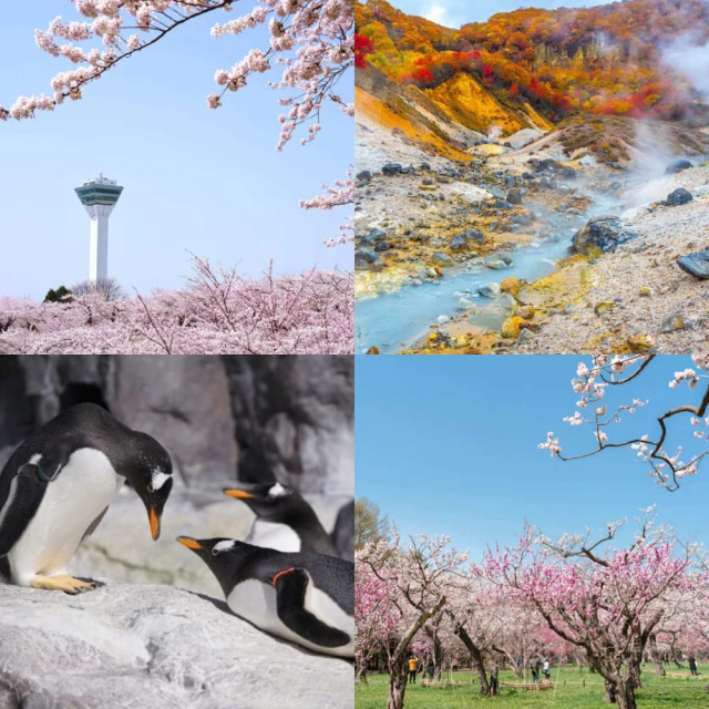 3/21-4/15限定賞櫻↘ 易起釜邱賞櫻五日~鎮海軍港節、