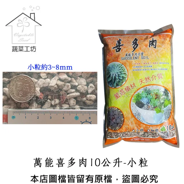【蔬菜工坊】萬能喜多肉10公升-小粒（其他規格）