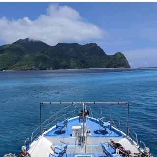 【新福豐36號】賞鯨+環龜山島+登島兒童票