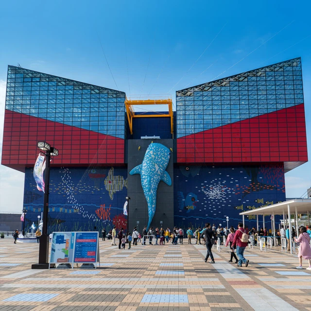 3月-6月↘ 超極威風愛邱釜雙城五日-加耶公園、美人魚秀、長