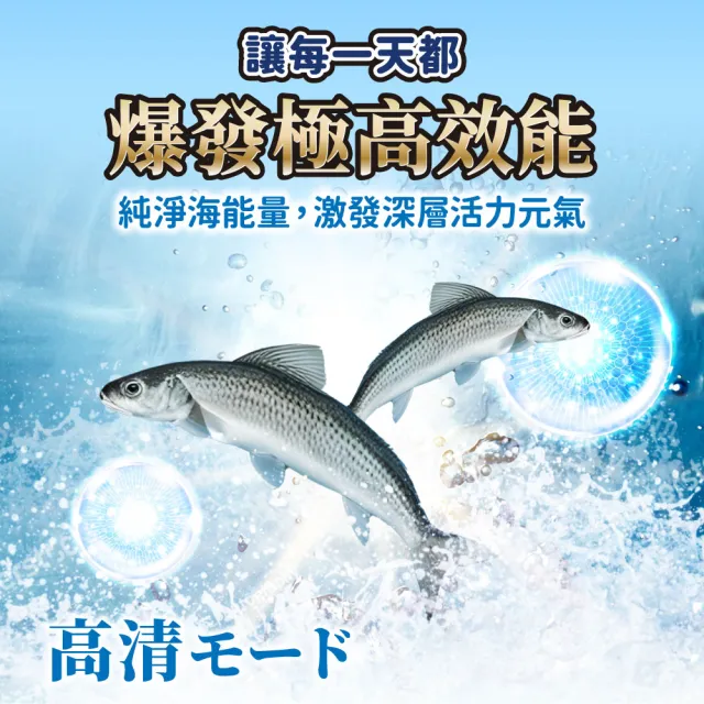 【OSHIMA BIOTECH 大島生醫】挪威高濃度頂級魚油軟膠囊x1包(60粒/包、魚油、維生素E、營養師推薦)