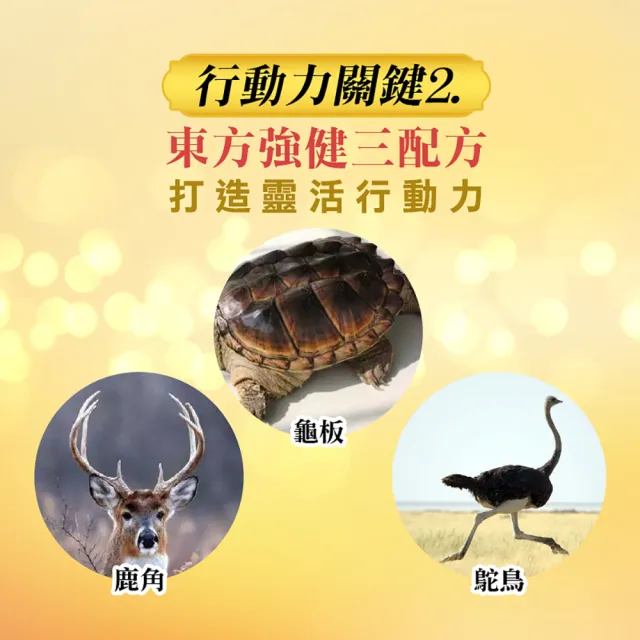 【梁衫伯】30粒x3盒-台灣製造龜鹿鴕鳥精升級版(保健食品 維持靈活力 守護健康)