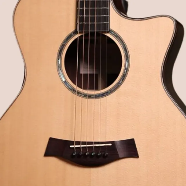 【TRUETONE】TR-6CSS 全單木吉他 雲杉木面板 玫瑰木背側板(贈原廠琴盒、彈片、調音器 原廠公司貨)