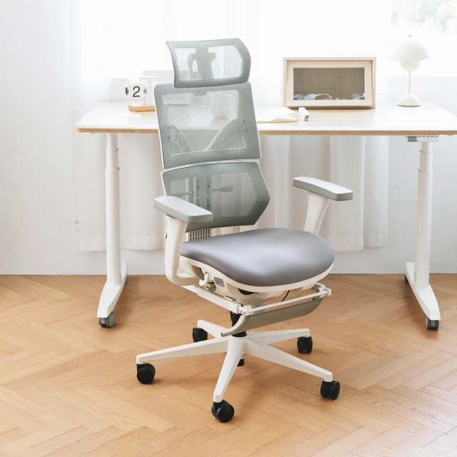 Steelcase Karman Chair 人體工學辦公椅