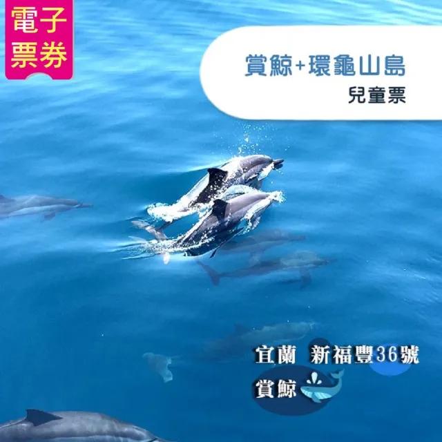 【新福豐36號】賞鯨+環龜山島兒童票