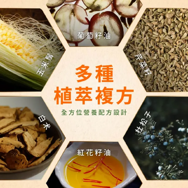 【威立鋒】專利EFLA☆940南瓜籽油膠囊3入組(60顆/入 添加茄紅素、黑麥花粉)