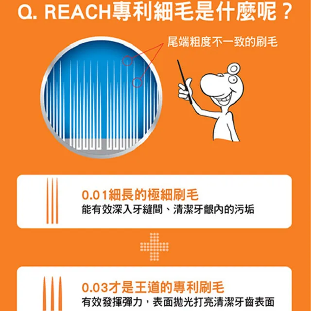 【麗奇】14°牙周對策牙刷12入箱購組(3.5mm彈力細毛顏色隨機出貨)