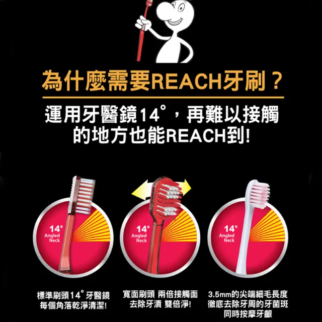 【麗奇】14°牙周對策牙刷12入箱購組(3.5mm彈力細毛顏色隨機出貨)