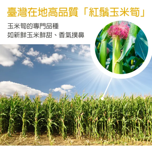 【High Tea 伂橙】玉米鬚茶4種任選12入x1袋(真實玉米筍、100%無添加、無糖茶、孕婦)