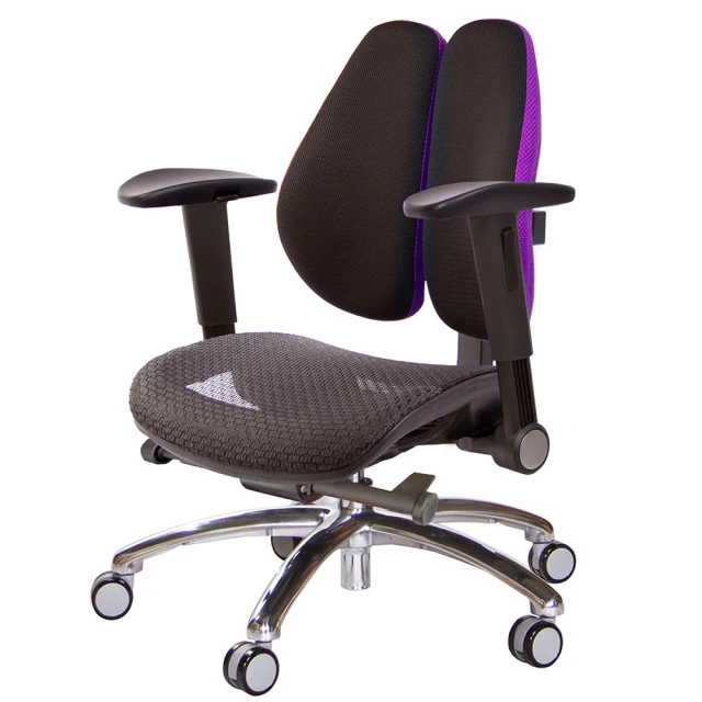 GXG 吉加吉 大網座 低雙背工學椅 鋁腳/摺疊滑面扶手(T