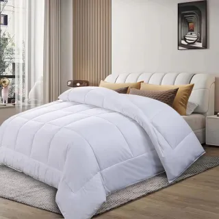 【Hilton 希爾頓】貴族享受銀離子超輕柔羽毛被2.0Kg/買一送一(羽絲絨被/羽絨被/棉被/被子)