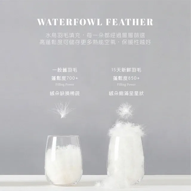 【ISHUR 伊舒爾】石墨烯水鳥羽毛被 台灣製 雙人2.5kg(加碼贈防潮棉被袋/棉被/被子/冬被)