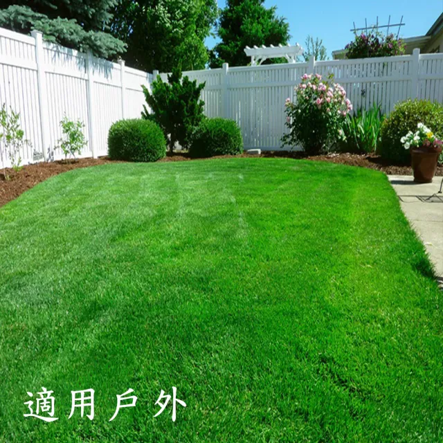 【POKO】黑底人工草皮 100cmX500cm(2.5cm春草濃密景觀草 草坪 草皮 草地)
