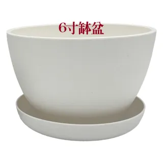 【小美紀】6寸缽盆附底盤(花盆 花架 圓盆 多肉盆 盆栽 水盤 肥料 多肉)