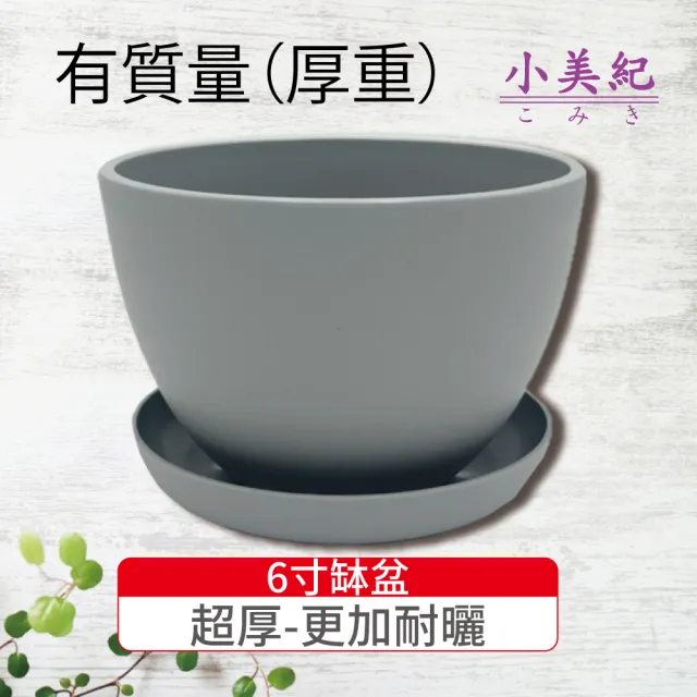 【小美紀】6寸缽盆附底盤(花盆 花架 圓盆 多肉盆 盆栽 水盤 肥料 多肉)