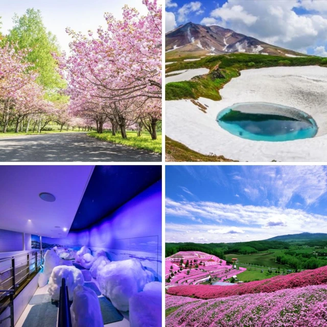 北海道留壽都賞櫻趣五日 北海道神功、大雪山公園、羊蹄山名水(