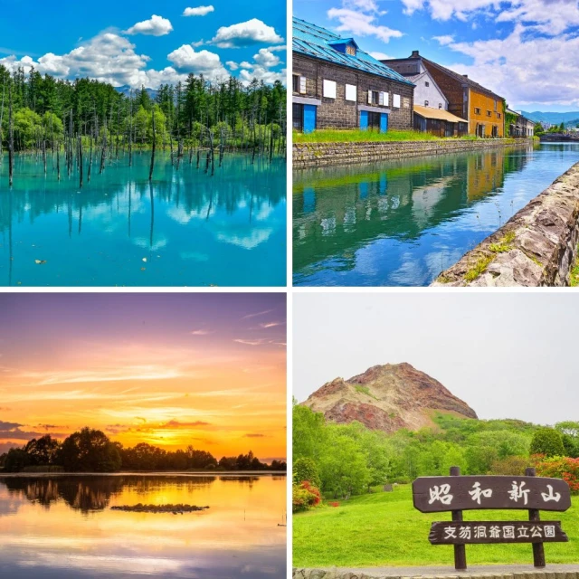 北海道留壽都賞櫻趣五日 北海道神功、大雪山公園、羊蹄山名水(