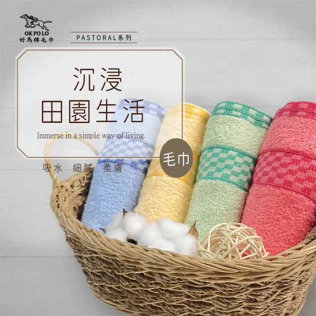 【OKPOLO 好馬牌】台灣製 田園蔬果吸水毛巾-12入組(純棉家庭首選)