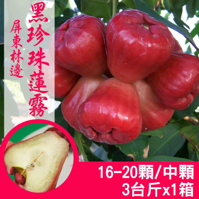 產地直送 屏東林邊黑珍珠蓮霧3台斤X1箱(16-20顆/中顆 產地直送 屏東林邊黑珍珠蓮霧3台斤X1箱(16-20顆/中顆/箱)