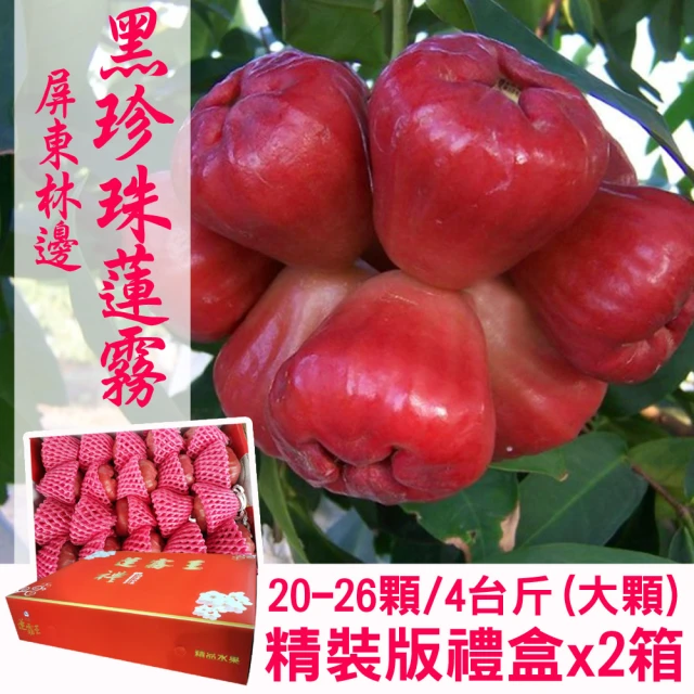 產地直送 屏東林邊黑珍珠蓮霧3台斤X1箱(16-20顆/中顆