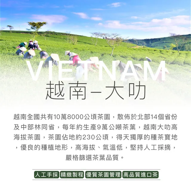 【茶好玩】暖南烏龍品選組 越南高山手採烏龍茶葉150gX4包(共1斤;回甘熟果香;輕發酵;中焙火;全手採)