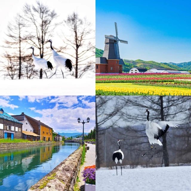 吉航旅遊 精緻假期~大阪立山黑部動感雪牆.白川鄉合掌村.上高