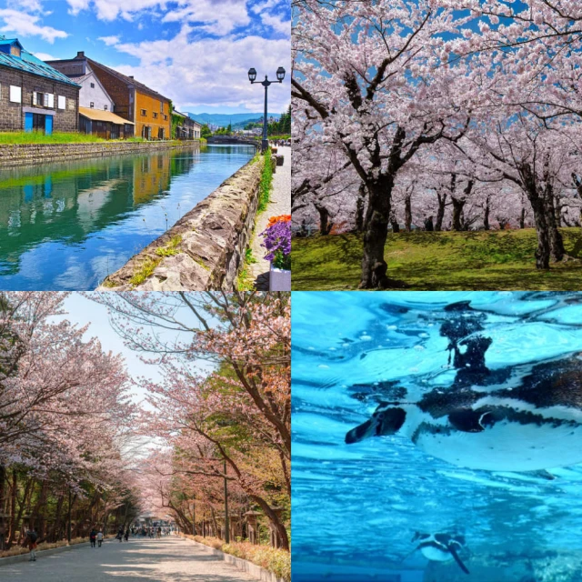 每月一物北海道旅遊 全程無自理餐.企鵝遊行.小樽運河.函館夜