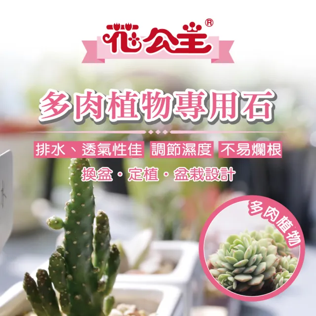 【花公主】多肉植物專用石2L 3件組(多肉植物適用/排水/透氣)
