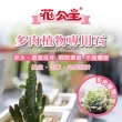 【花公主】多肉植物專用石2L 3件組(多肉植物適用/排水/透氣)