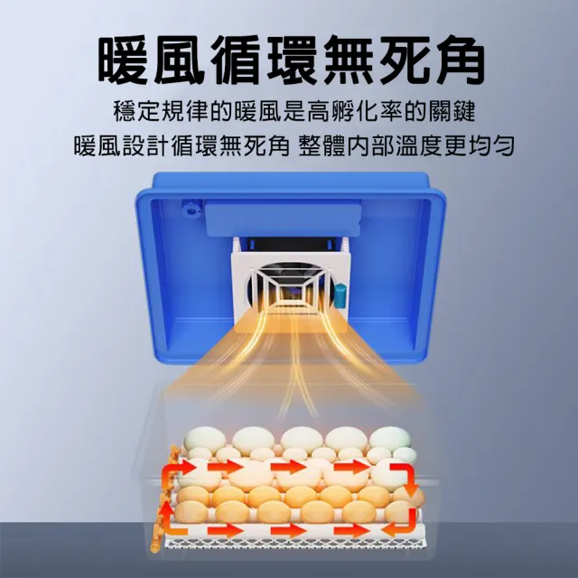 【佳美多】48枚孵蛋器 保溫箱 保雞蛋孵化器 智慧控溫箱 全自動孵化機(110V智能孵化機 定時翻蛋 出雛 育雛)