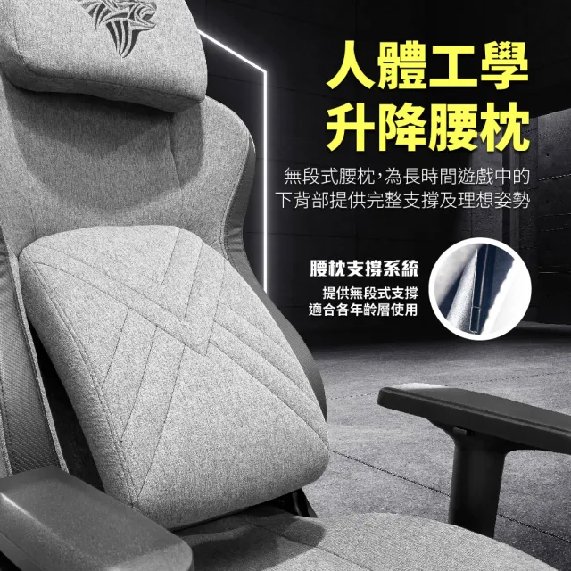 【PC Park】PG-350 人體工學電競椅 本島免費宅配不組裝  暗夜灰/可調式腰枕(電競椅)