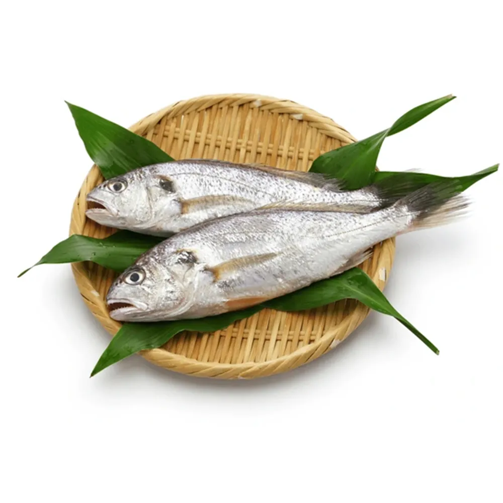 嚴選鮮凍野生白口魚