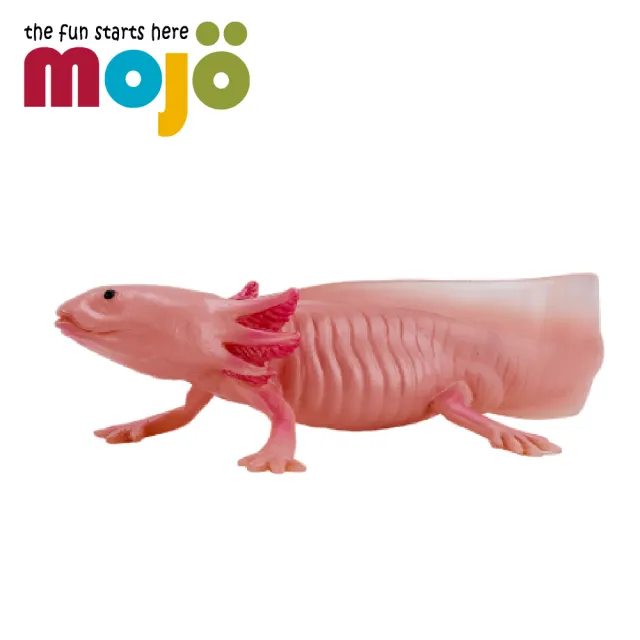【Mojo Fun】動物模型-墨西哥鈍口螈(公仔/動物/模型/玩具)