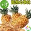 【《和之心》】精選鳳梨心果乾3入(225公克/包)