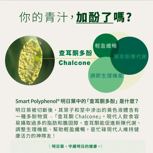 即期品【SHIONOGI】野義明日葉青汁30包x2盒(查耳酮多酚 代謝順暢)