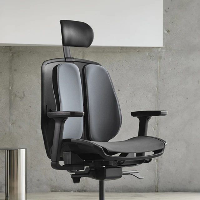 HAW JOU 豪優 DUOREST ALPHA HBDA M AIRO 雙背椅-座網(韓國原裝進口 專利雙背設計)