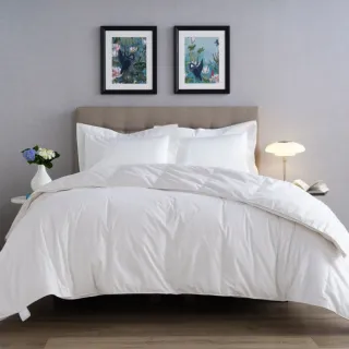 【WEDGWOOD】80/20雅品白鵝絨 抗菌羽絨冬被 棉被(加大 240x210cm)