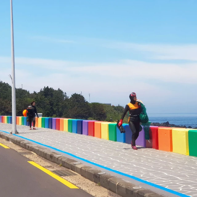 喜鴻假期 【不進人蔘保肝.藍調時光濟州5天】全程市區四星、海