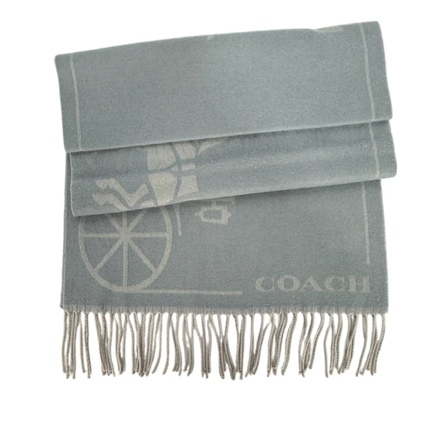 COACH 刺繡馬車格紋流蘇圍巾-綠色折扣推薦