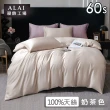 【ALAI 寢飾工場】6尺加大60支天絲萊賽爾床包枕套組(多款任選 經典素色 台灣製造)