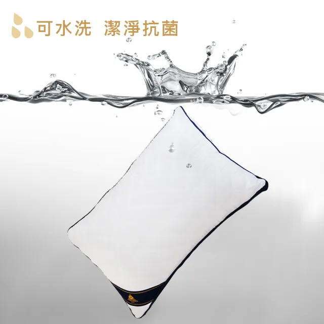 【JAROI】台灣製七星級飯店可水洗抗菌枕(買1送1)