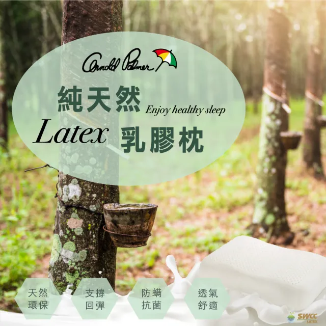 【Arnold Palmer雨傘牌】人體工學乳膠枕2入