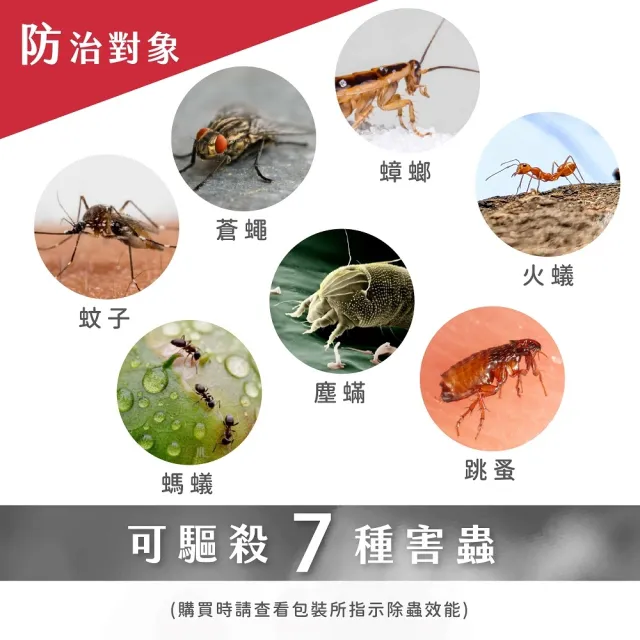 【鱷魚】氣霧式殺蟲劑60g-3入組-小坪數專用(適用坪數3-5坪、驅殺隱藏害蟲、輕鬆防治！)