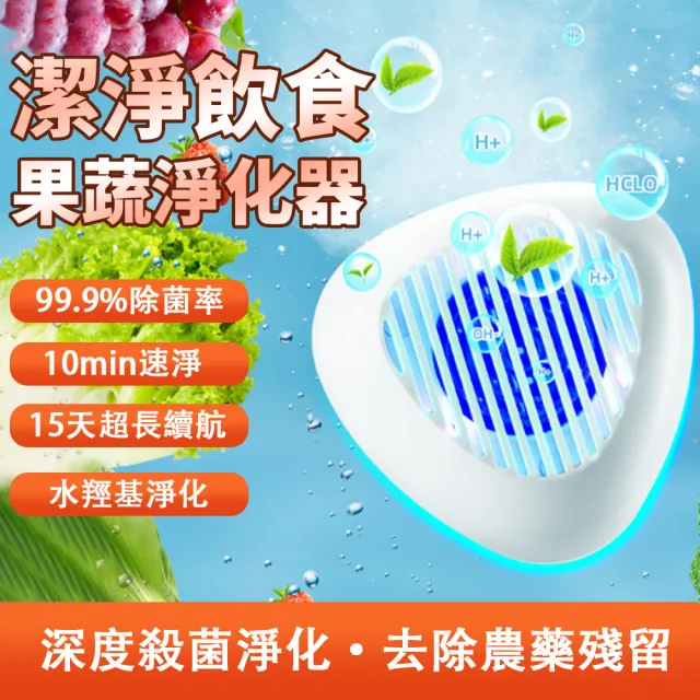 【Felsted 菲仕德】蔬果清洗機 蔬果凈化器(果蔬清洗 蔬果凈化機 超聲波洗菜機 去除農殘)