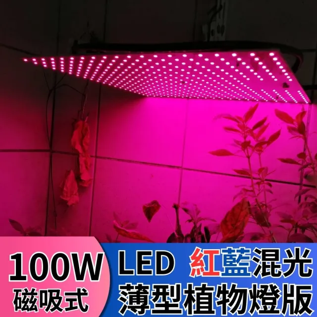 【JIUNPEY 君沛】LED100W薄型植物燈板 100瓦磁吸式植物燈 紅藍混光 專業型光譜(植物燈)