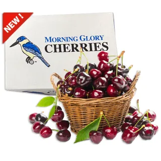 【甜露露】紐西蘭牽牛花櫻桃28mm 2kg x1盒(2kg±10%)